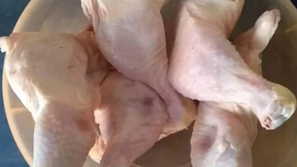 Pollo [Solo muslos] [Por Libras o Kilogramos]'s foto | Mercadito DEMO |  BizneCubano